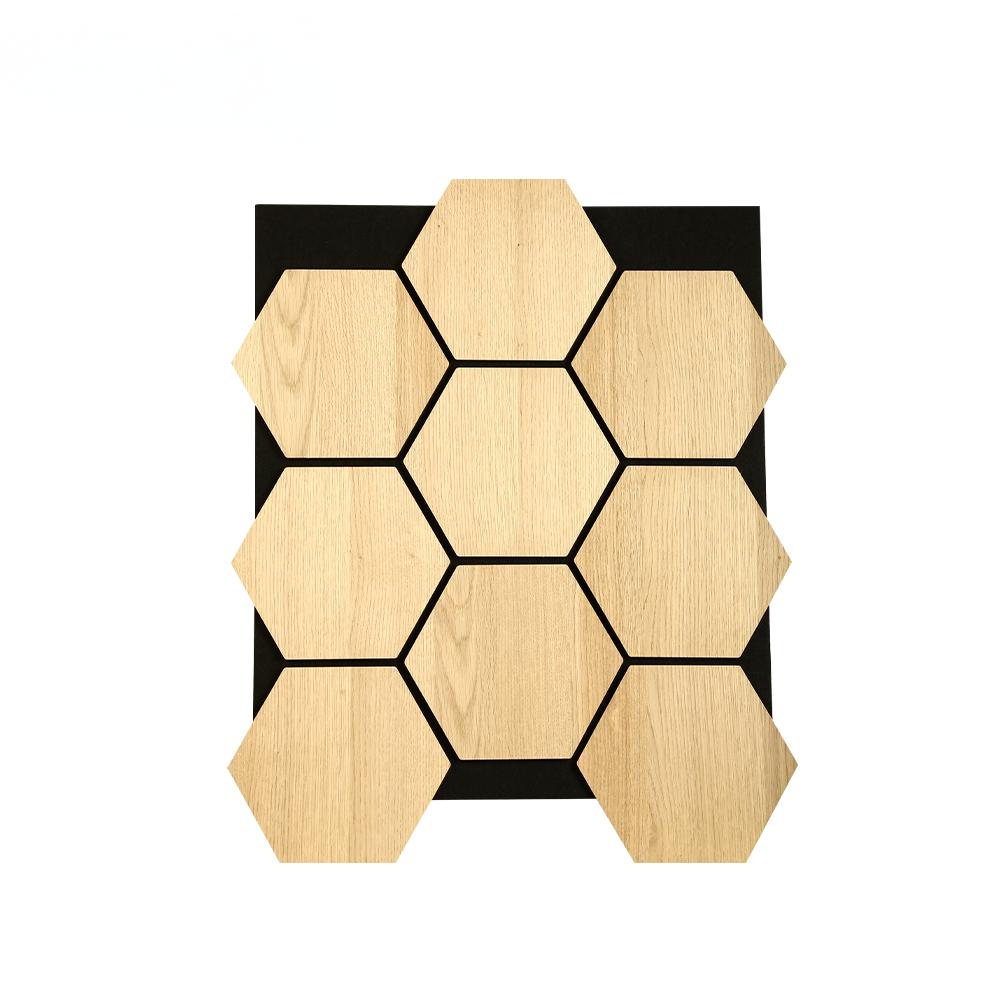 Hexagonal sound absorbing panel